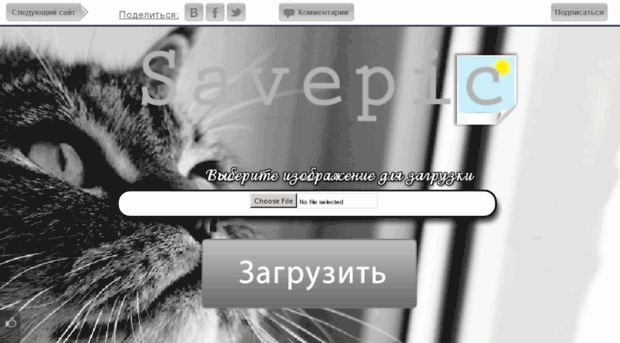 savepic.be