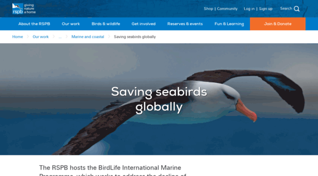 savethealbatross.net