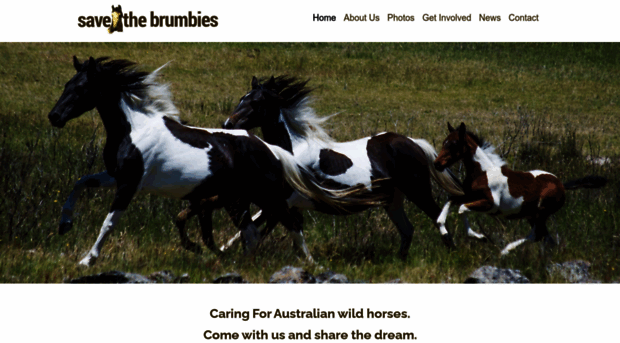 savethebrumbies.org