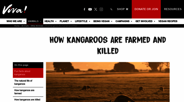 savethekangaroo.com