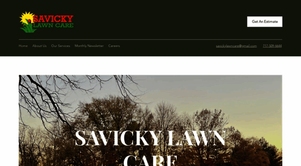 savickylawncare.com