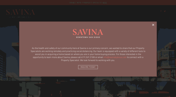 savinabybosa.com