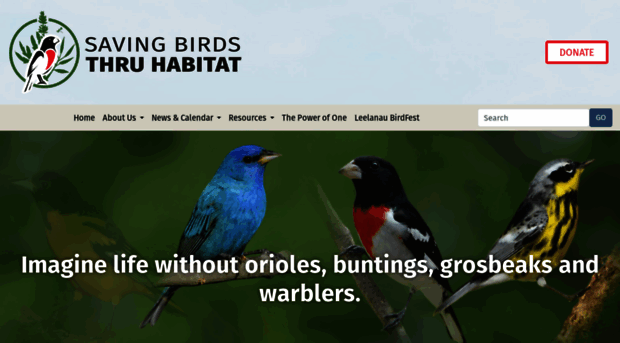 savingbirds.org