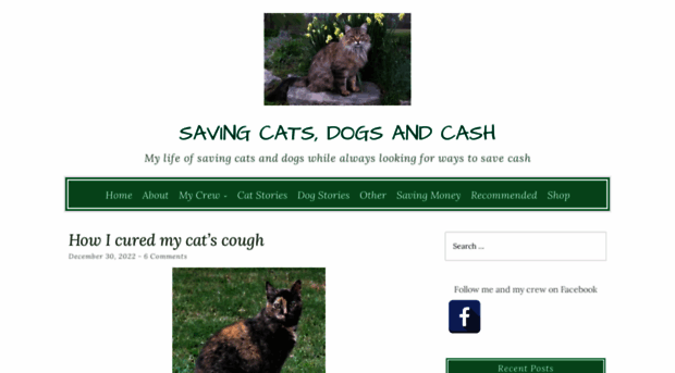 savingcatsdogsandcash.com