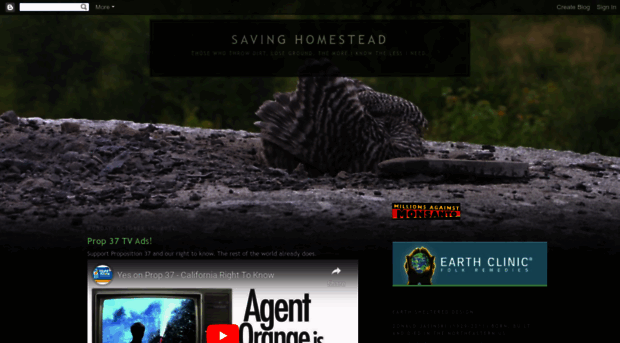 savinghomestead.blogspot.com