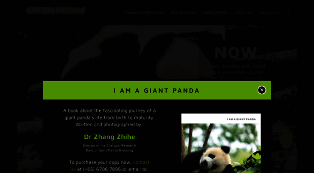 savingpandas.com