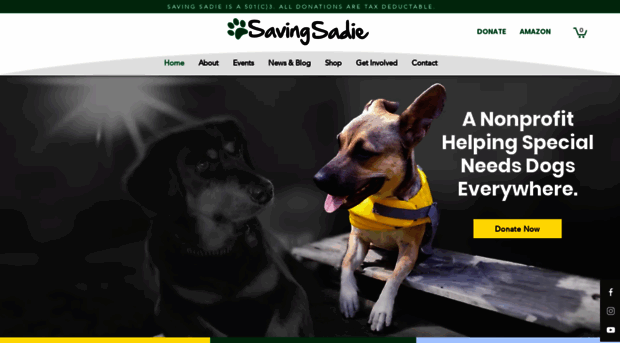 savingsadie.com