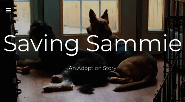 savingsammie.wordpress.com