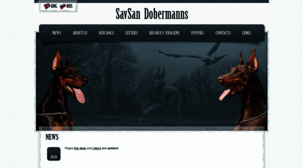 savsan-dobermanns.com