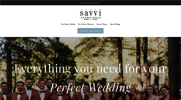 savvinc.com
