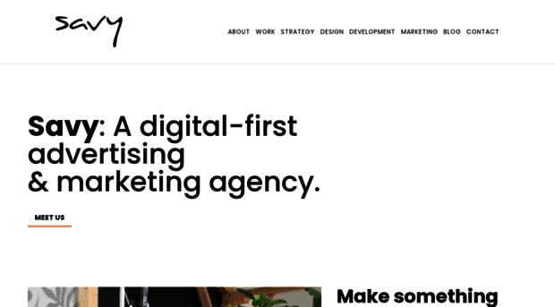 savvyagency.com