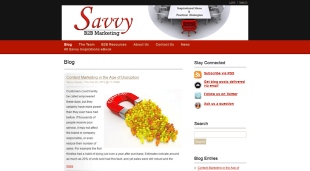 savvyb2bmarketing.com