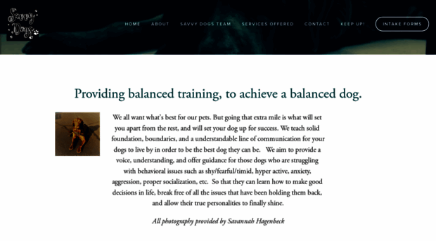 savvydogstraining.com