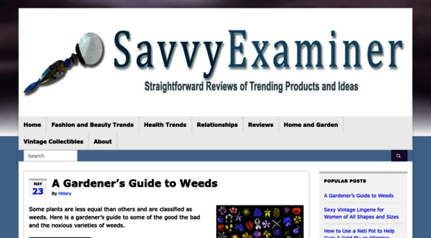 savvyexaminer.com