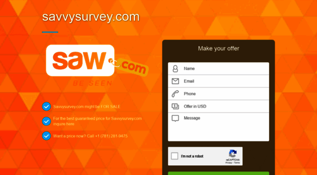 savvysurvey.com