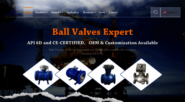 savvyvalvetech.com