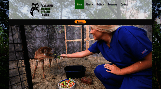 savwildliferescue.com