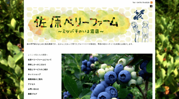 sawaraberryfarm.com