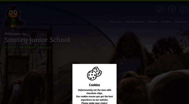 sawleyjunior.co.uk