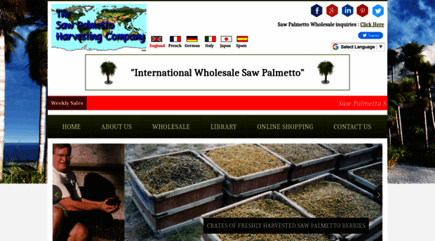 sawpalmetto.com