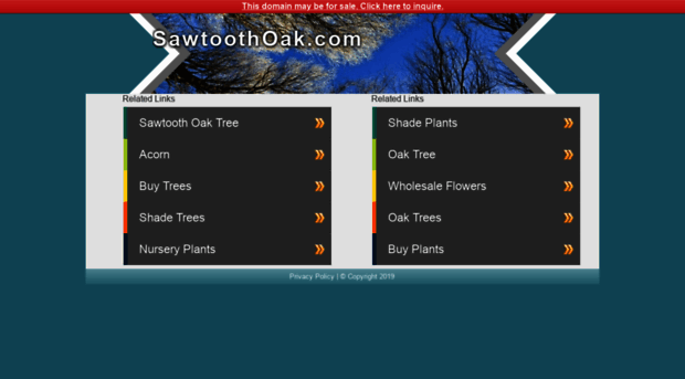 sawtoothoak.com