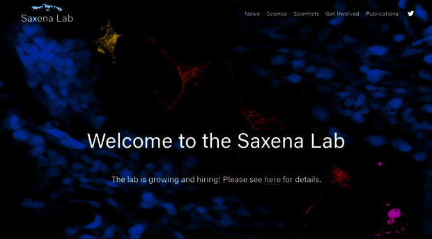 saxenalab.com