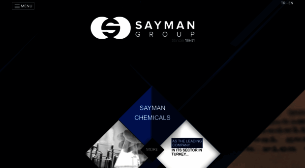 saymaninternational.com