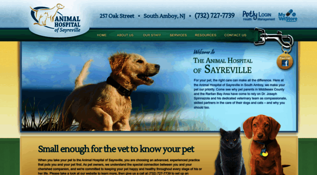 sayrevillevet.com