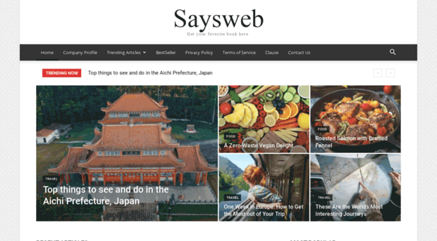 saysweb.com