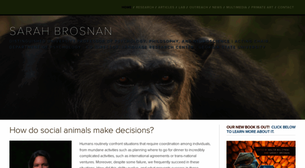 sbrosnan.squarespace.com