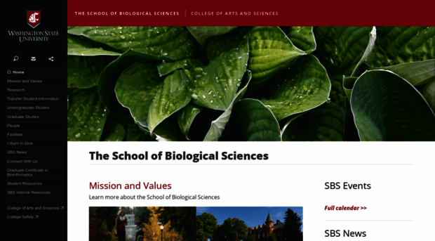 sbs.wsu.edu