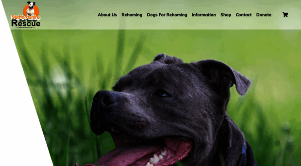 sbtrescue.co.uk