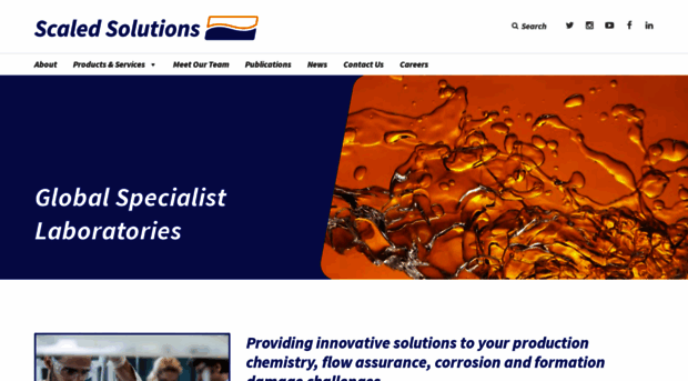 scaledsolutions.com