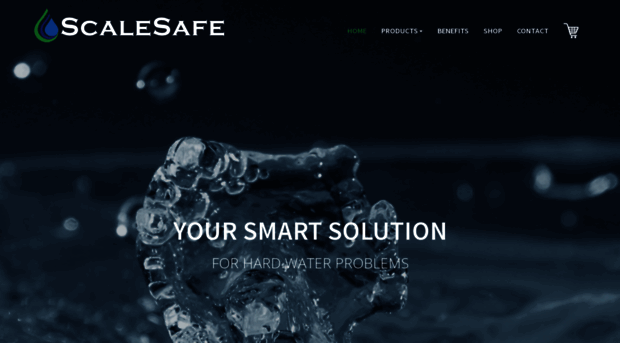 scalesafe.com