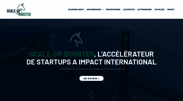 scaleup-booster.com