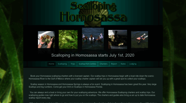 scallopinghomosassa.com