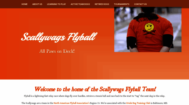 scallywagsflyball.weebly.com