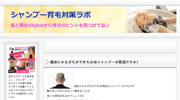 scalp-and-shampoo.jp