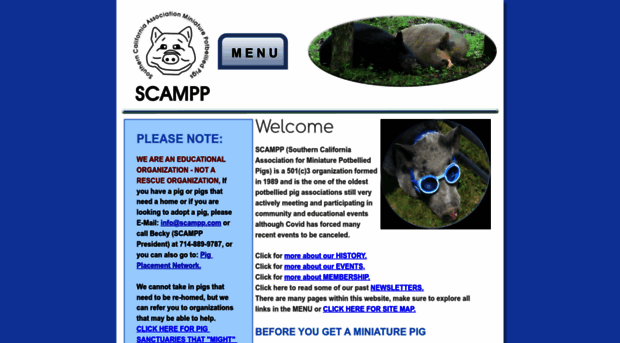 scampp.com