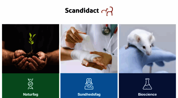 scandidact.dk