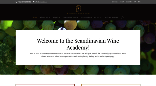 scandinavianwineacademy.com