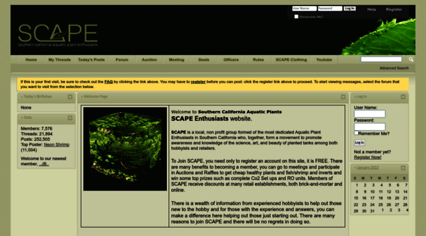 scapeclub.org