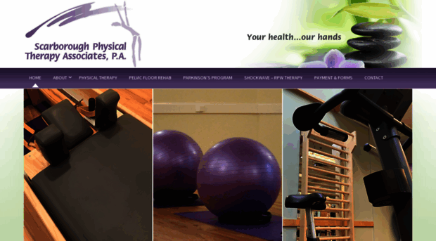 scarboroughphysicaltherapy.com