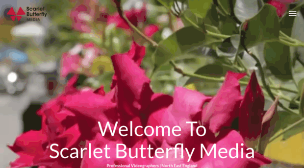 scarletbutterflymedia.co.uk