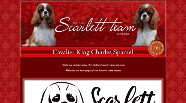 scarlett-team.com