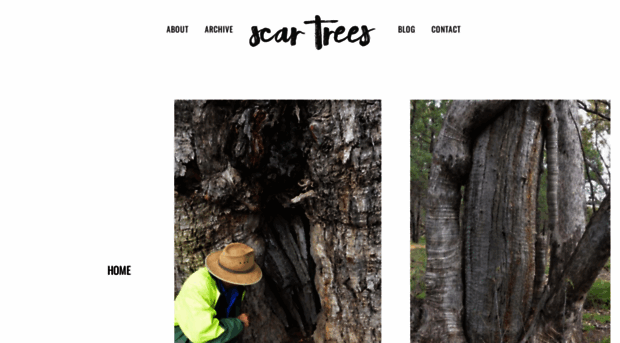 scartrees.com.au