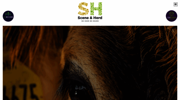 sceneandherdpr.co.uk