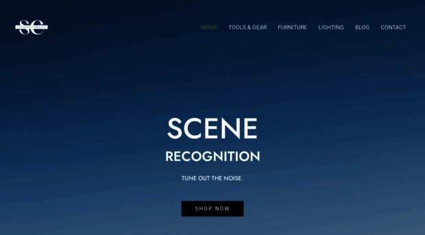 scenerecognition.com