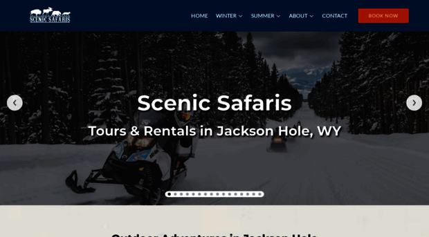 scenic-safaris.com