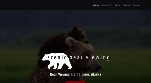 scenicbearviewing.com